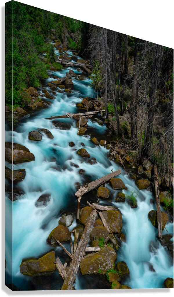 Winding Down Canvas Print
