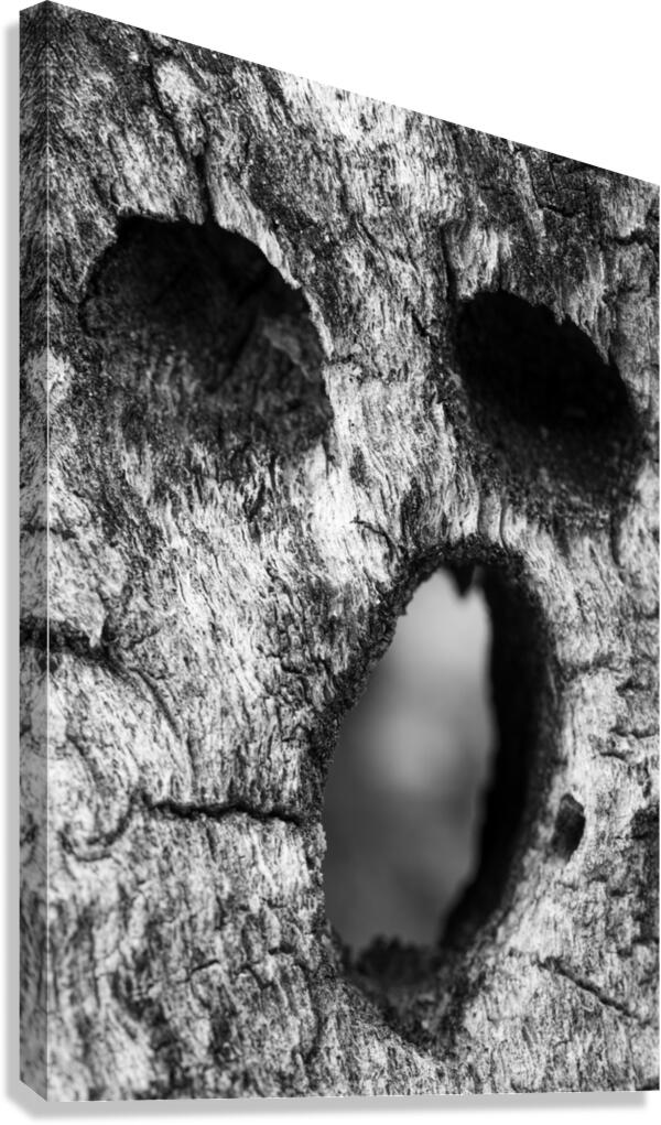 Cholla Scream Canvas Print