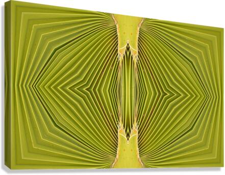 Double Palm Vision Canvas Print