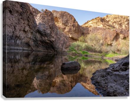 Oasis Reflection Canvas Print