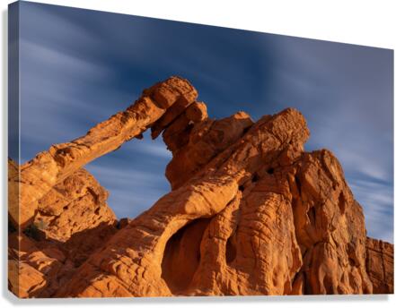 Charging Elephant Canvas Print