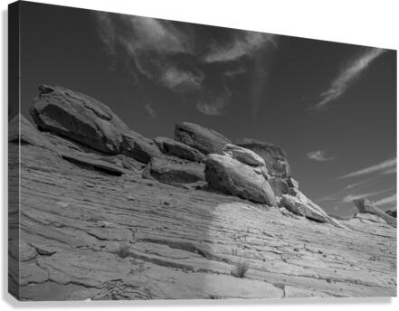 Split Decision Canvas Print