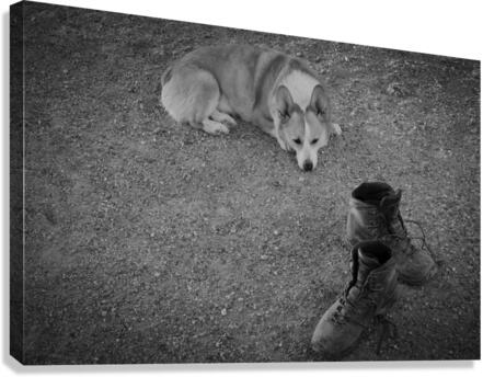 Exhausted Canvas Print