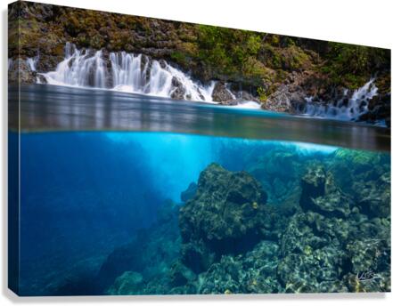 Blue Pool Immersion Canvas Print