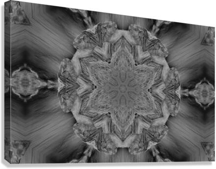 Gray Star Vortex Canvas Print