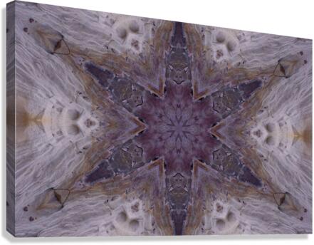 Hidden Faces Canvas Print