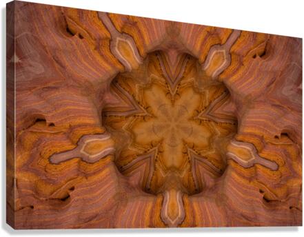 Desert Star Canvas Print