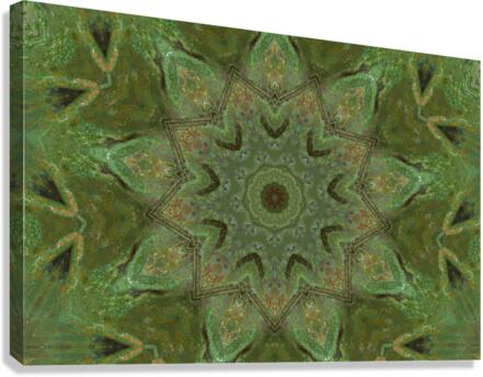 Green Doorways Canvas Print