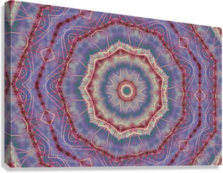 Concentric Cactus Canvas Print