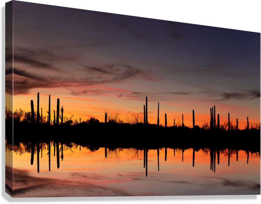 Reflected Roots Canvas Print