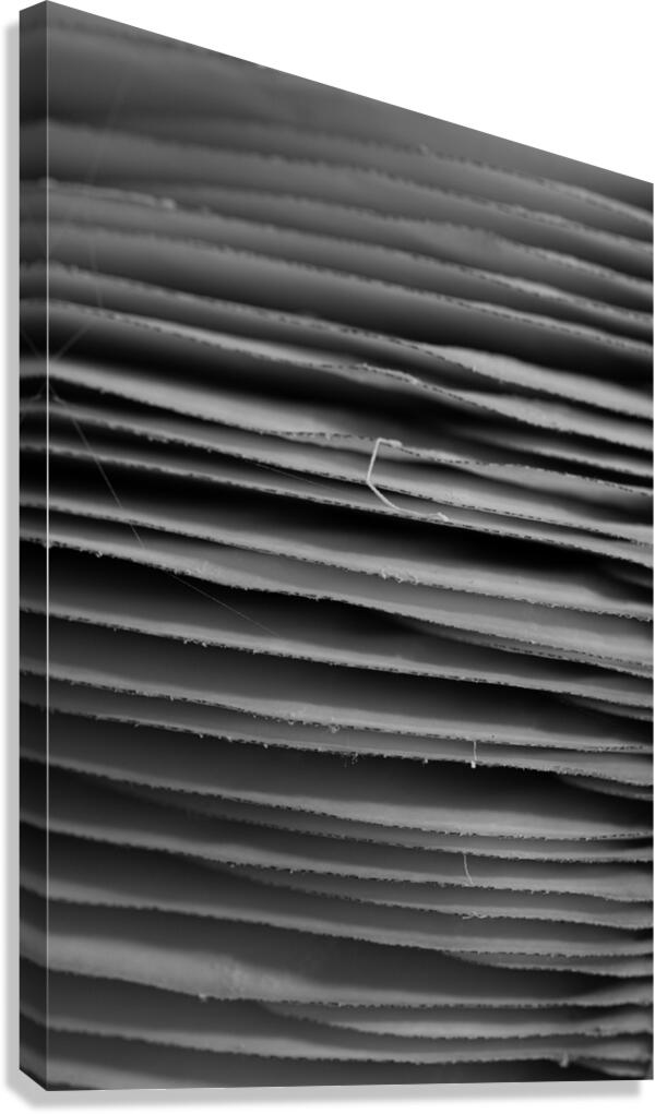 Gill Stacks Canvas Print