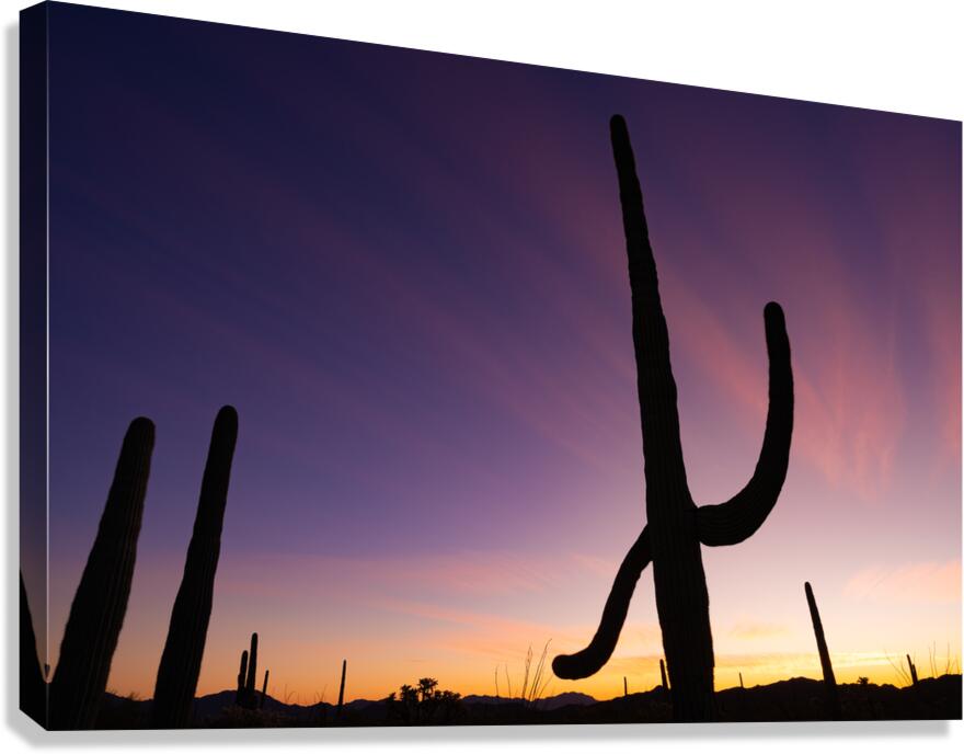 Sunset Salutation Canvas Print