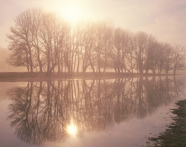 Winter Reflections Print