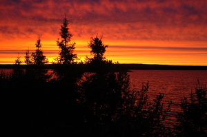 CARIBOU 2005 72