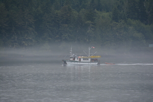 Foggy Morning in The Inside Passage