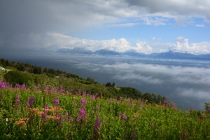 View of Homer Alaska