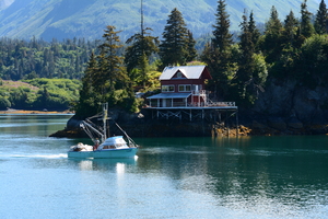 Halibut Cove Solitude