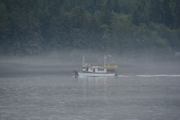 Foggy Morning in The Inside Passage by Rhammes