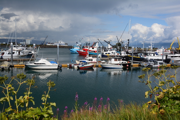 Homer Spit Harbor by Rhammes