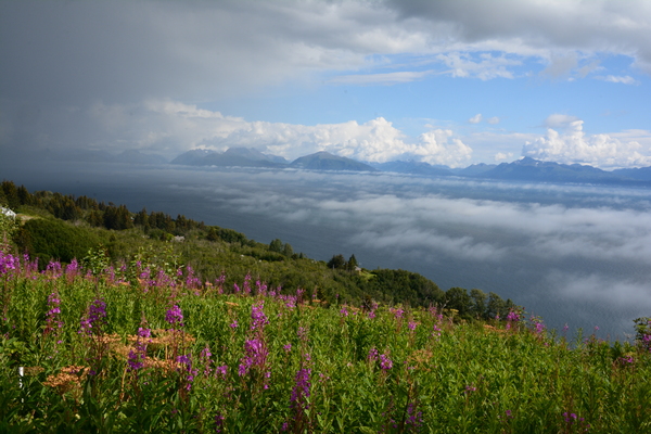 View of Homer Alaska by Rhammes