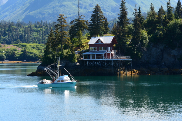 Halibut Cove Solitude by Rhammes