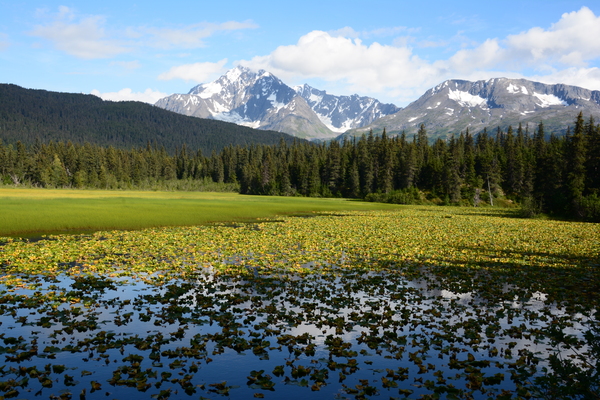 Moose Pass Alaska by Rhammes