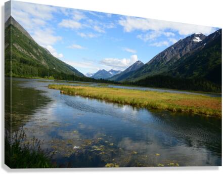 D71 9850 Canvas Print