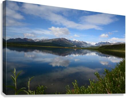 D71 1093 Canvas Print