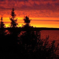 CARIBOU 2005 72