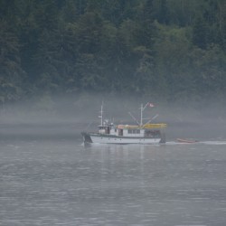 Foggy Morning in The Inside Passage