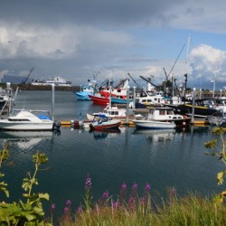 Homer Spit Harbor