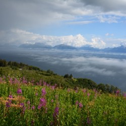 View of Homer Alaska