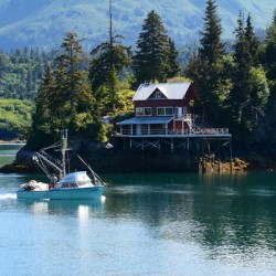 Halibut Cove Solitude
