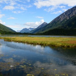 Tern Lake Alaska