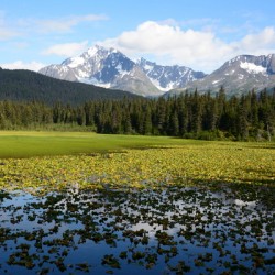 Moose Pass Alaska