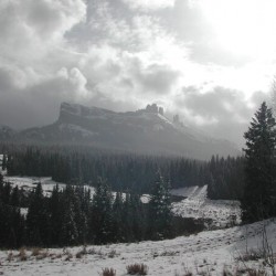 DSCN0618