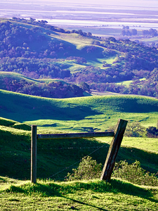 Carneros Pasture 2.2 1