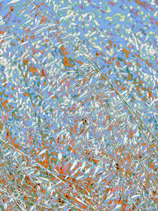 Botanical: blue weeds 1