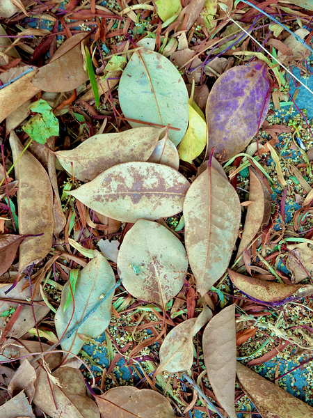 Botanical: Green Leaves NVPS version by KOMurphy