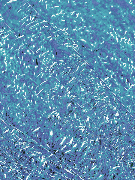 Botanical: Blue Weeds 5.3 by KOMurphy