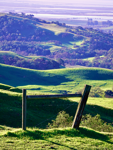 Carneros Pasture 2.2 1 by KOMurphy