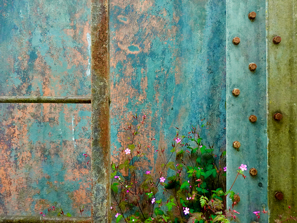 Lock Wall Burgundy Canal 2.0 by KOMurphy
