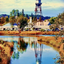 Tannery Tower