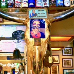 Panchas Backbar Bull