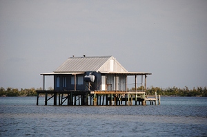 Blue Fish Shack