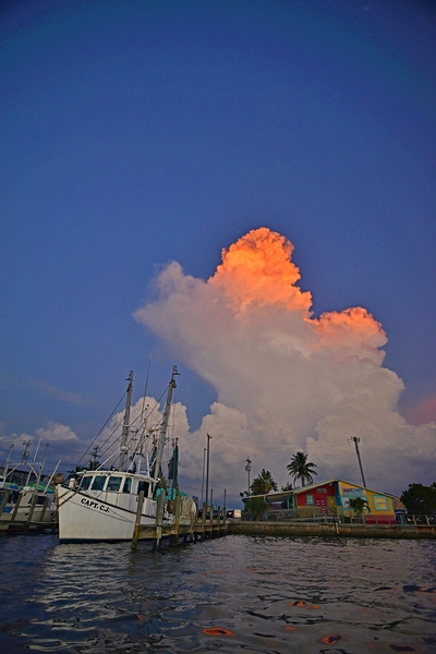 Shrimp Boat by Wildfly Photography