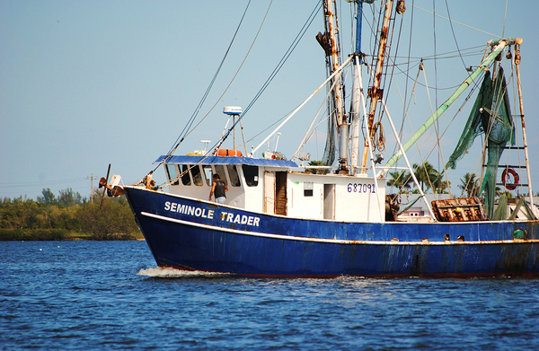 Seminole Trader by Wildfly Photography