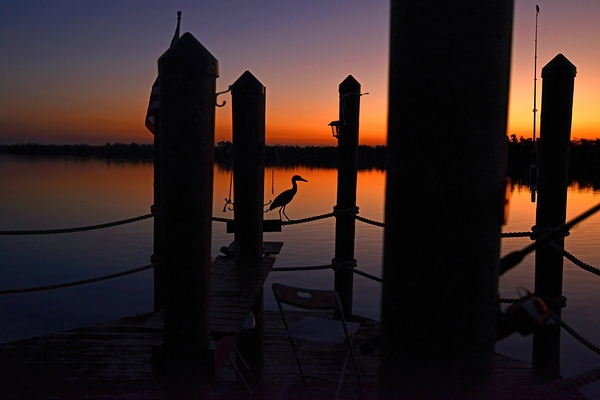 Pine Island Creek by Wildfly Photography