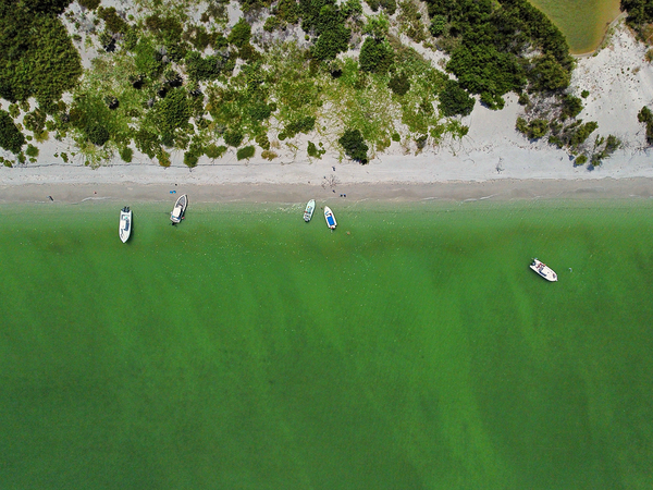 Cayo Costa Beach by Wildfly Photography