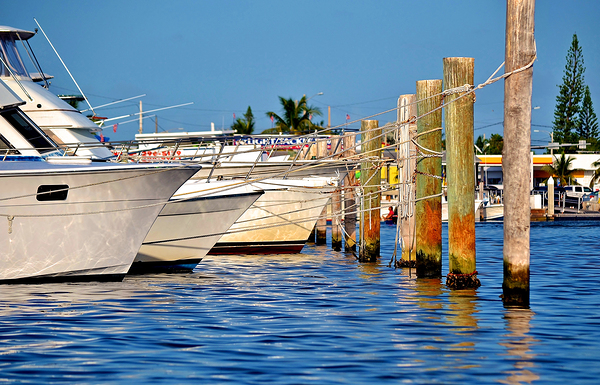 Charterboat Row Key West by Wildfly Photography